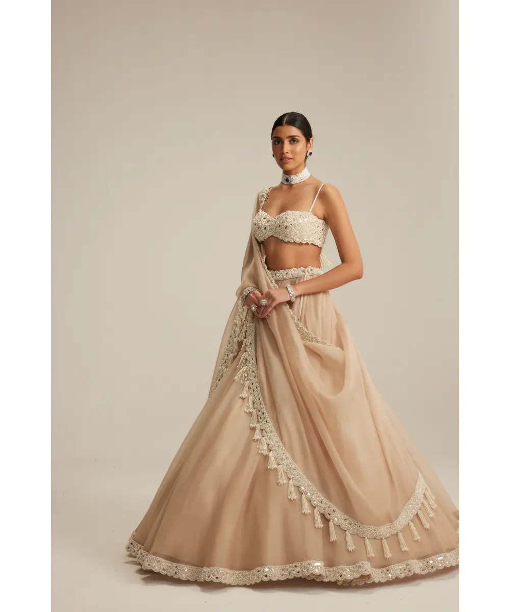 VVANI VATS- Light Beige Organza mirror and pearl lehenga set